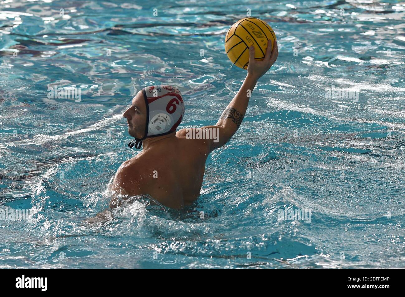 Savona, Italien. Dezember 2020. Savona, Italien, Zanelli Pool, 06. Dezember 2020, Rizzo Valerio (Savona) während des Rari Nantes Savona vs Radnicki - len Euro Cup Wasserball Spiel Credit: Danilo Vigo/LPS/ZUMA Wire/Alamy Live News Stockfoto