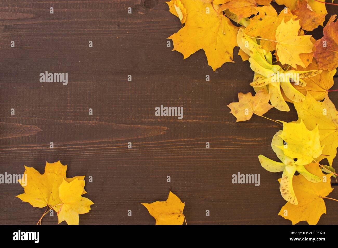 Holztisch mit orangefarbenen Herbstblättern , Herbst natürlichen Hintergrund. Konzept der Herbstblätter im Herbst Saison Hintergrund Stockfoto