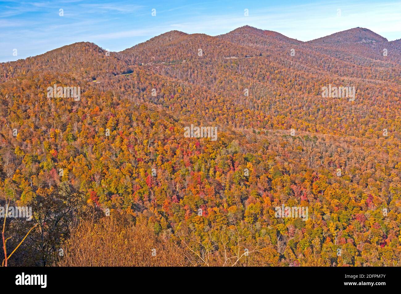 Herbstfarben in den Appalachen entlang des Blue Ridge Parkway In North Carolina Stockfoto