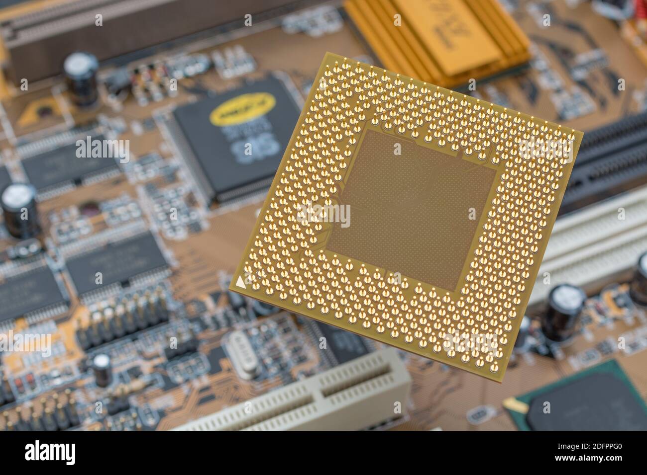 Gold Pinouts auf der Unterseite einer Desktop AMD CPU mit Mainboard. Dies ist eine ältere Sempron SDA2200DUT3D, die eine OEM-Version von AMD-Chip war. Stockfoto