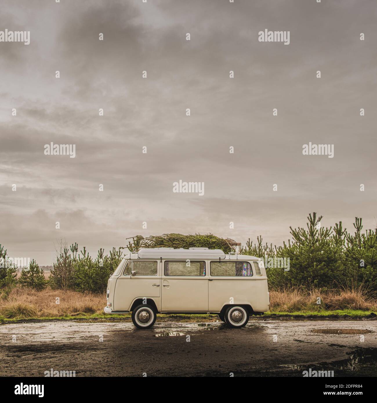 Vintage-Wohnmobil mit frisch geschnittenem Weihnachtsbaum auf dem Dach. Stockfoto