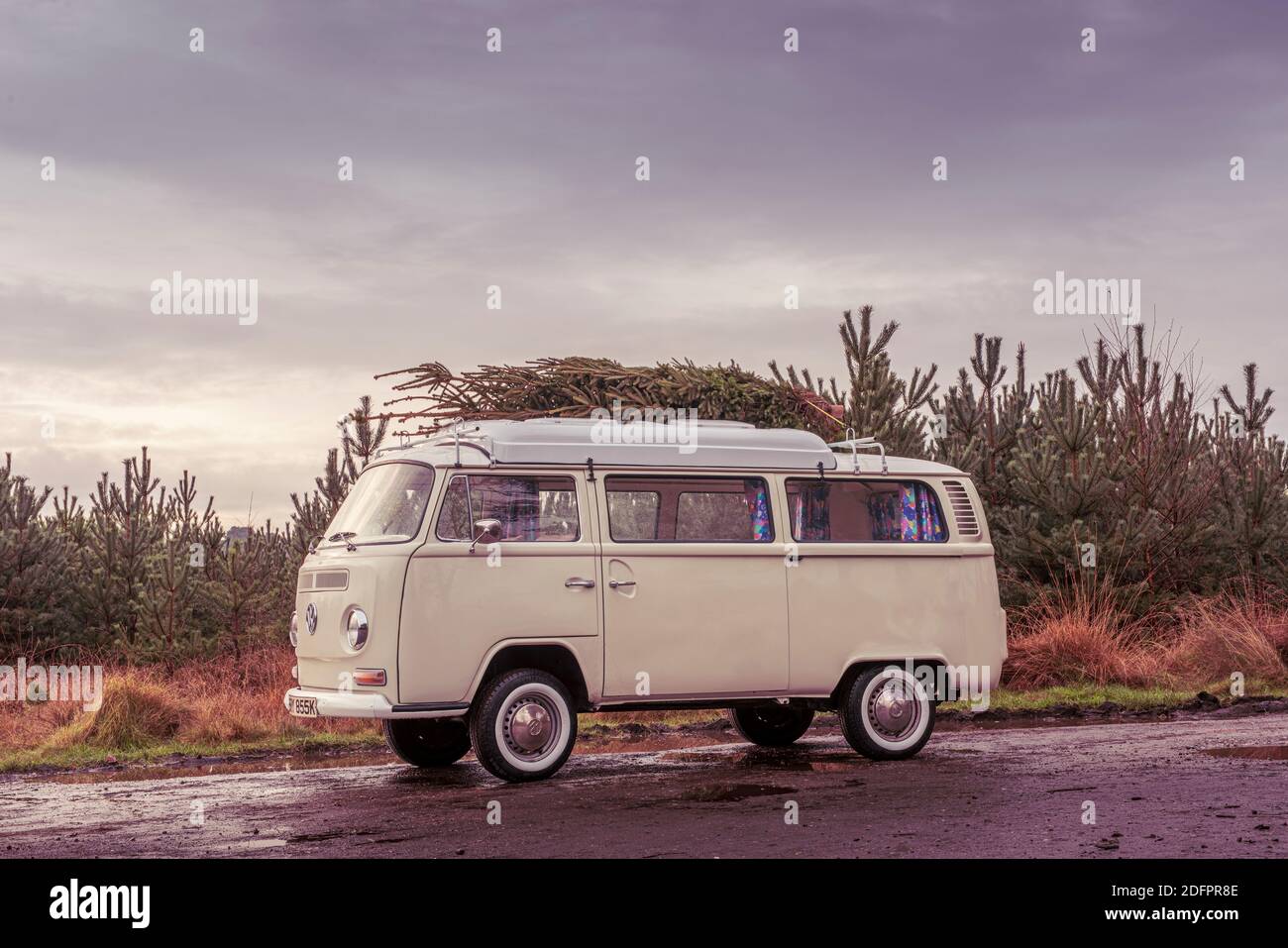 Vintage-Wohnmobil mit frisch geschnittenem Weihnachtsbaum auf dem Dach. Stockfoto