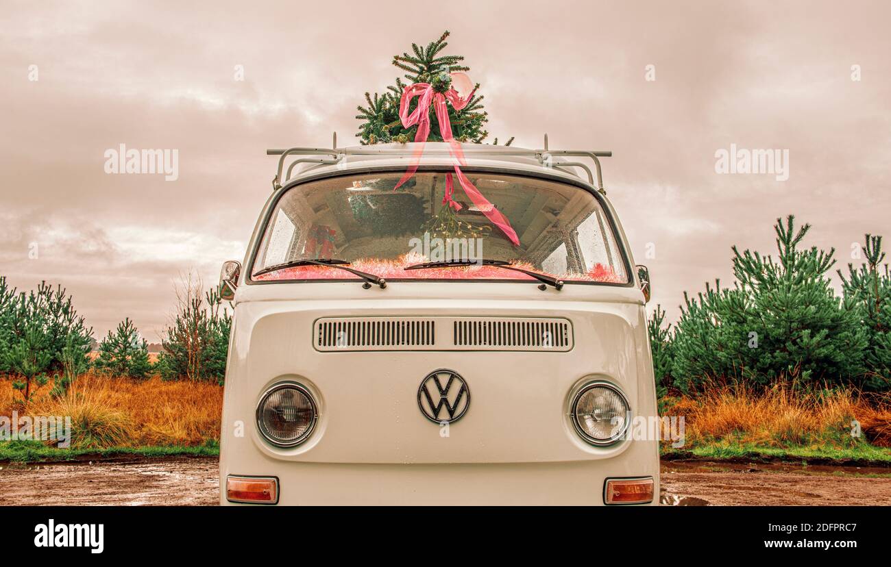 1972 VW Bay Window Campervan geparkt mit Weihnachtsbaum auf Dach. Stockfoto