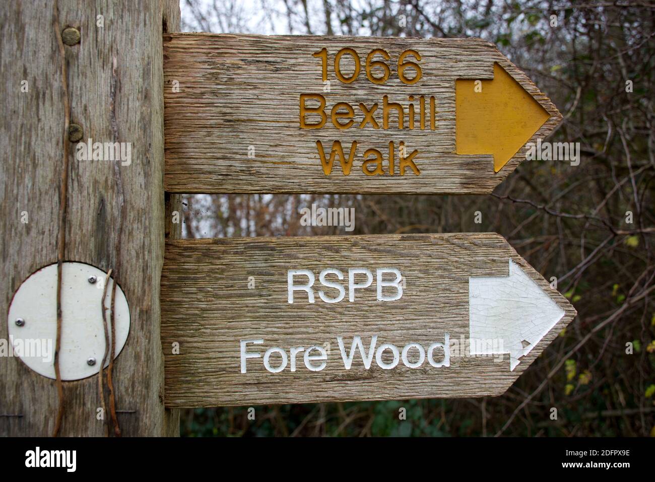 Ein Fingerpfosten zeigt die Richtung für die 1066 Bexhill Walk und zum RSPB Wildlife Reserve von Fore Wood, in Crowhurst. Stockfoto