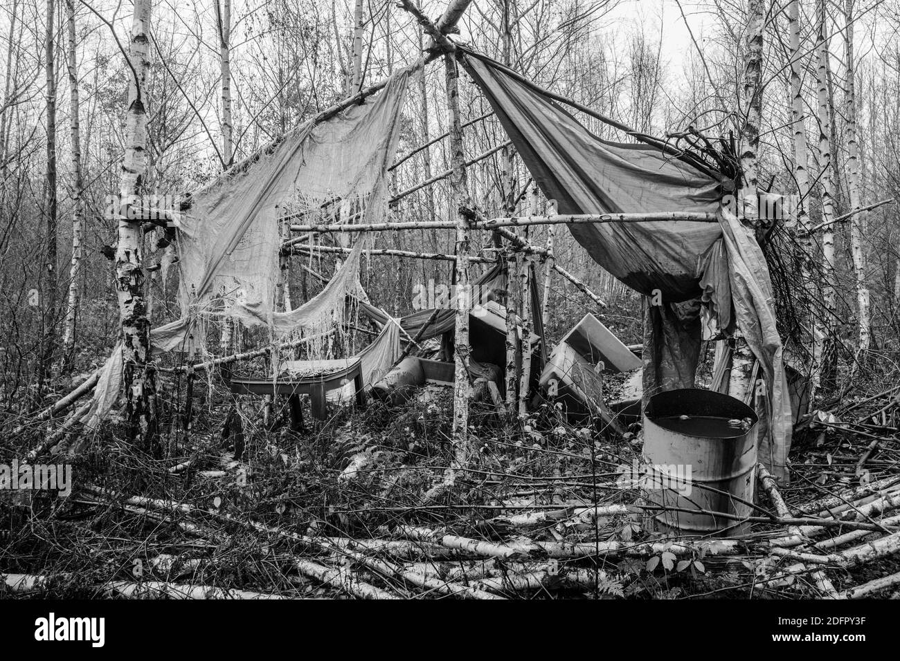 Abgebrochene temporere Holz- schutz in Sherwood Forest. Stockfoto