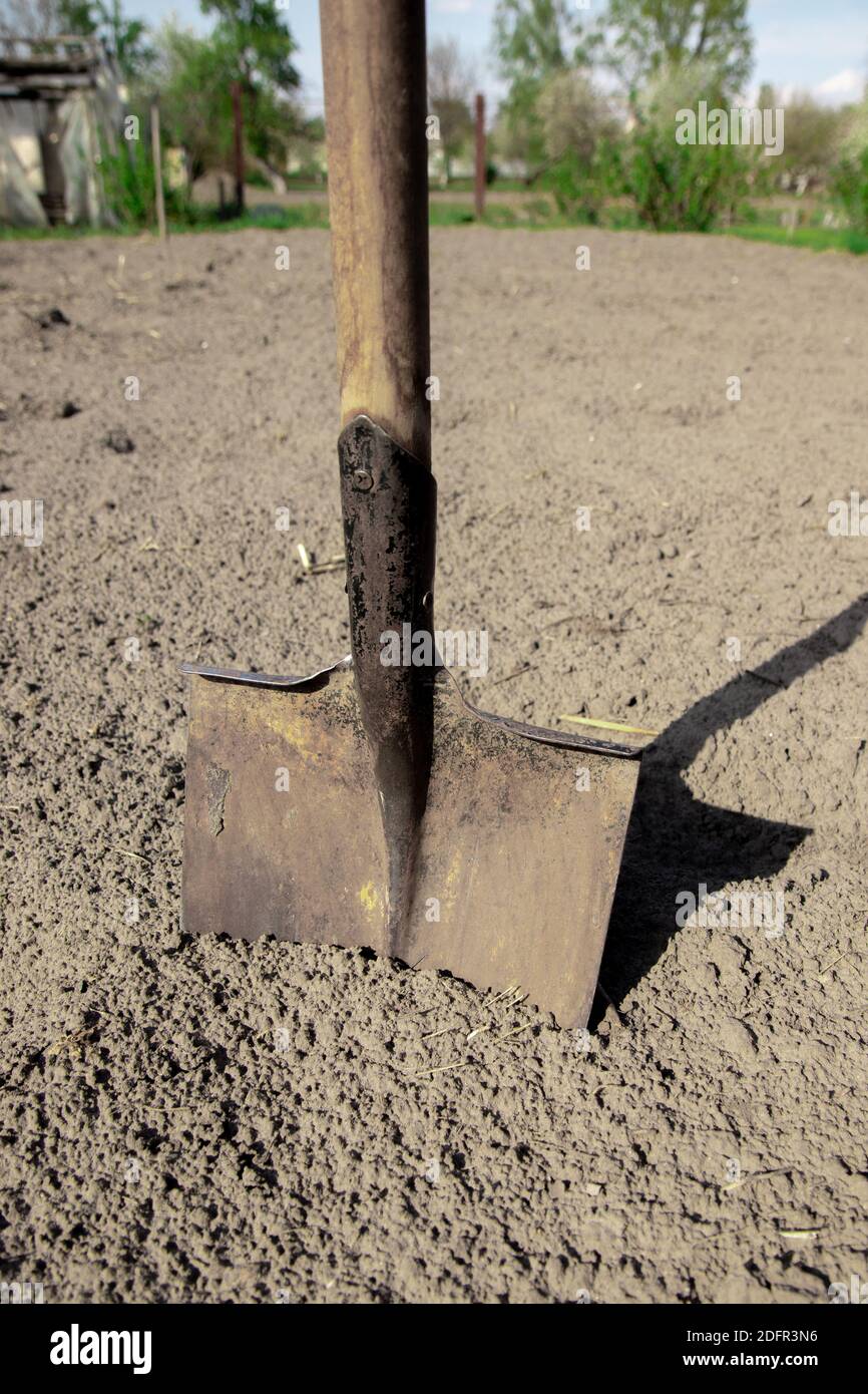 Graben Frühlingsboden mit Schaufel. Nahaufnahme. Schaufel auf dem Boden, Konzept der Gartenarbeit. Stockfoto