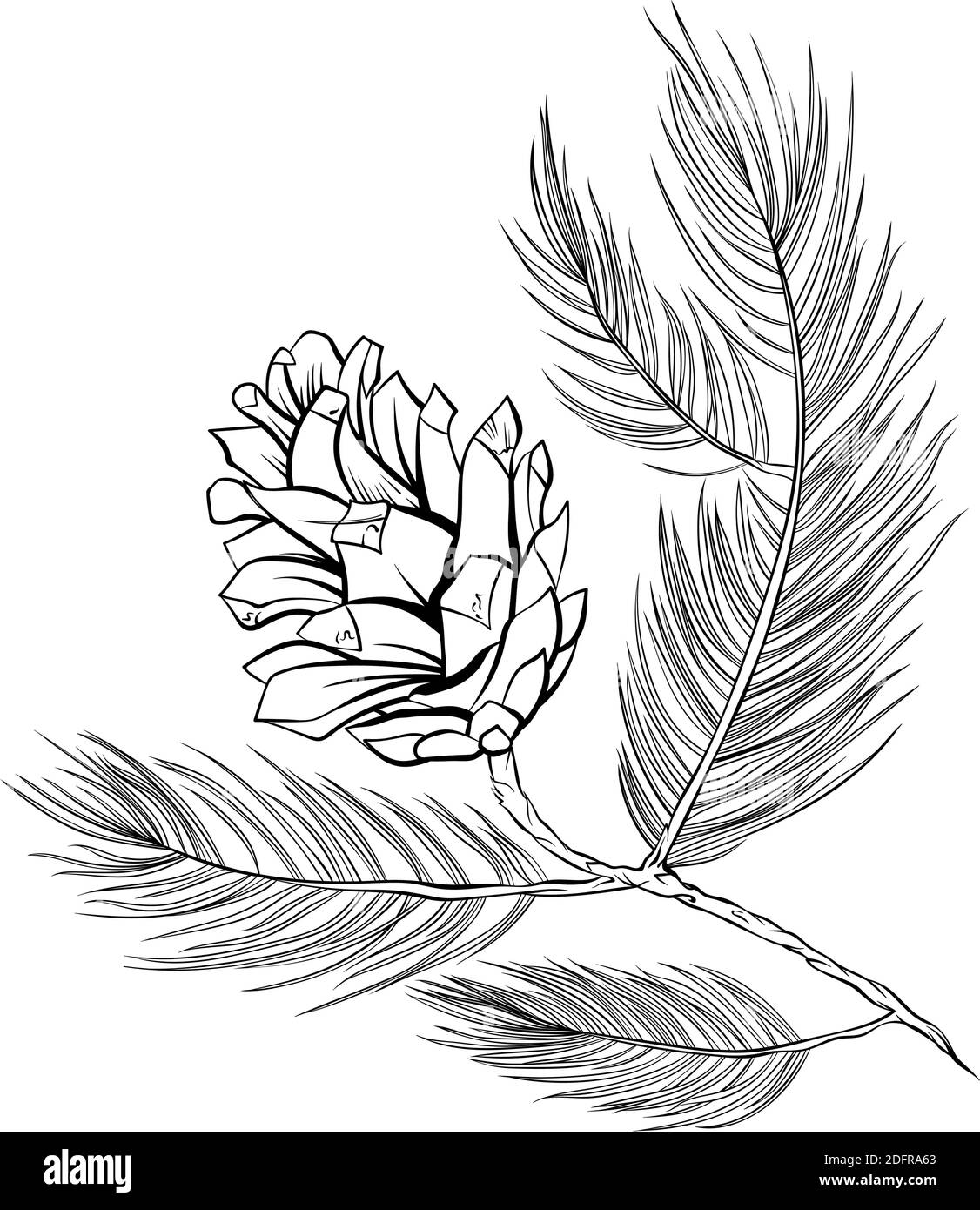 Tannenzapfen Set, Kiefer Zweig Fichten, Vektor-Linie Kunst Dekoration Element für Muster und Hintergründe. Pinecone isoliertes Design, moderne trendige schwarz-weiße handgezeichnete Weihnachtsdekor Stock Vektor