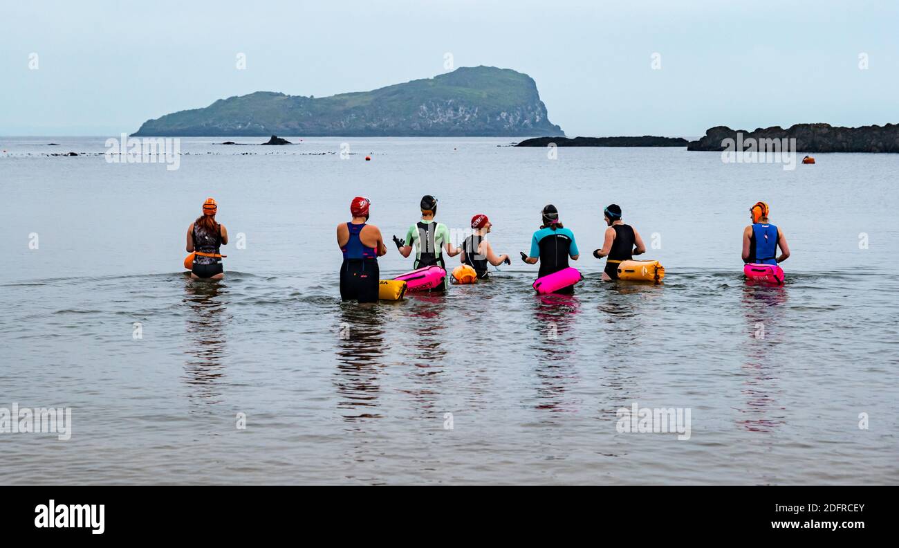 Eine Gruppe wilder Schwimmerinnen in Badeanzügen mit Schwimmern geht ins Meer, Firth of Forth, North Berwick, East Lothian, Schottland, Großbritannien Stockfoto