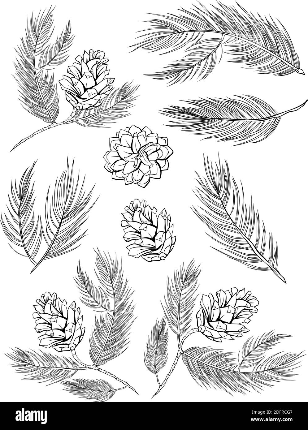 Tannenzapfen, Tannenzweige mit Tannenzapfen, Vektor Tannenbaum Set von Dekorationselementen. Tannenzapfen, Kiefer oder Zedernholz Fichtenzweige schwarz und weiß isoliert Linie Kunst-Set für Weihnachten Xmas Dekoration Design Stock Vektor