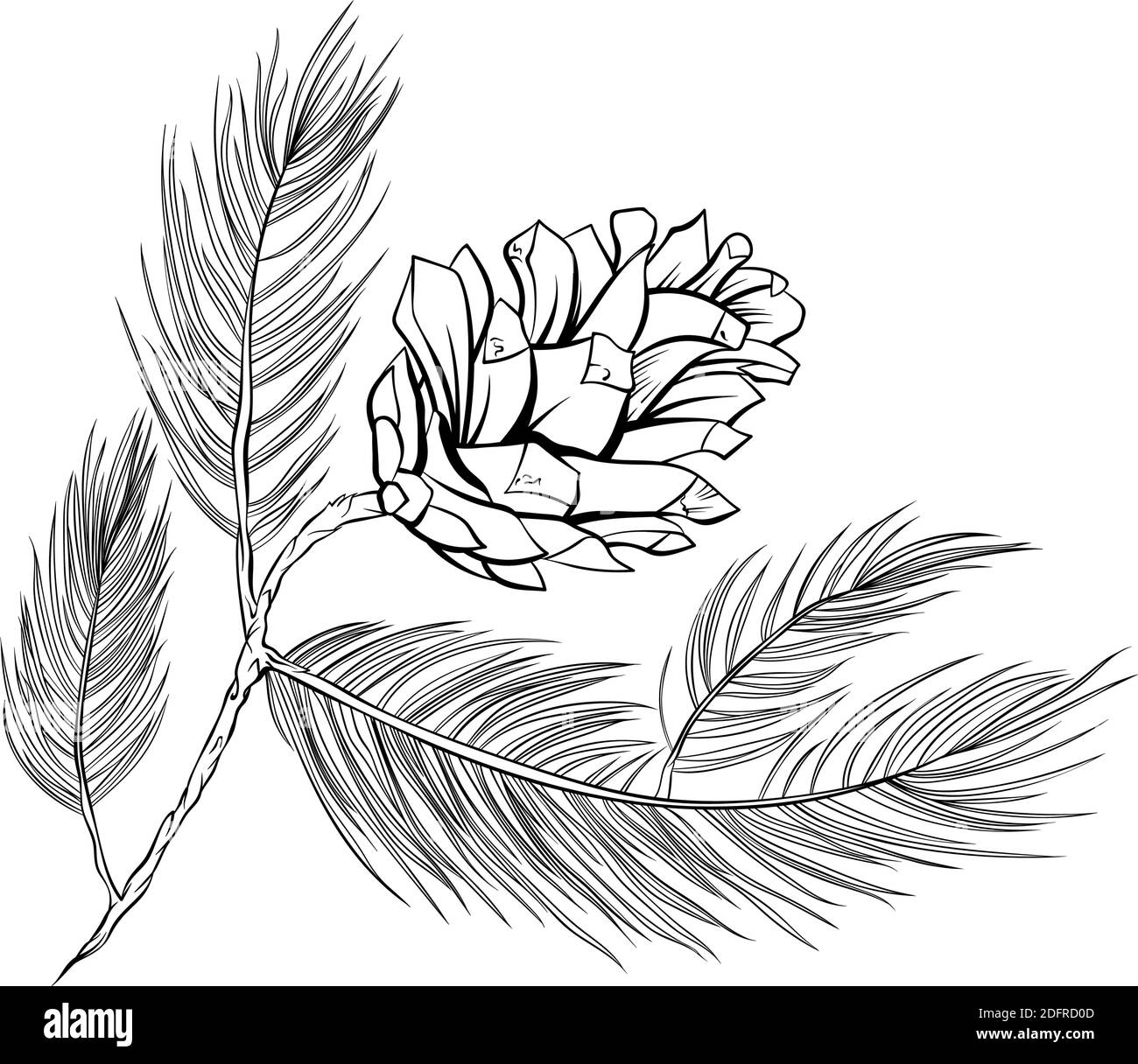 Tannenzapfen Set, Kiefer Zweig Fichten, Vektor-Linie Kunst Dekoration Element für Muster und Hintergründe. Pinecone isoliertes Design, moderne trendige schwarz-weiße handgezeichnete Weihnachtsdekor Stock Vektor