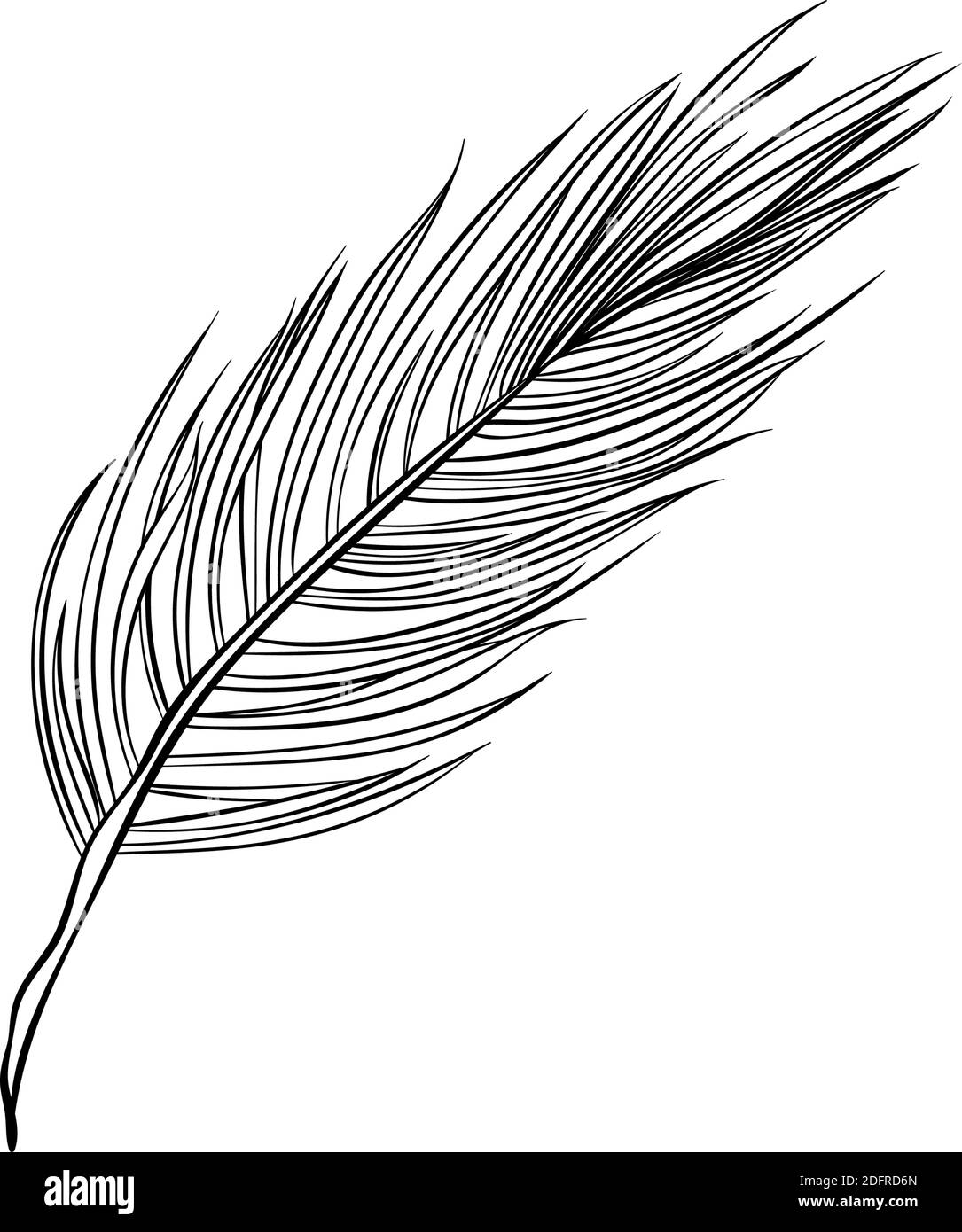 Tannenzapfen Set, Kiefer Zweig Fichten, Vektor-Linie Kunst Dekoration Element für Muster und Hintergründe. Pinecone isoliertes Design, moderne trendige schwarz-weiße handgezeichnete Weihnachtsdekor Stock Vektor