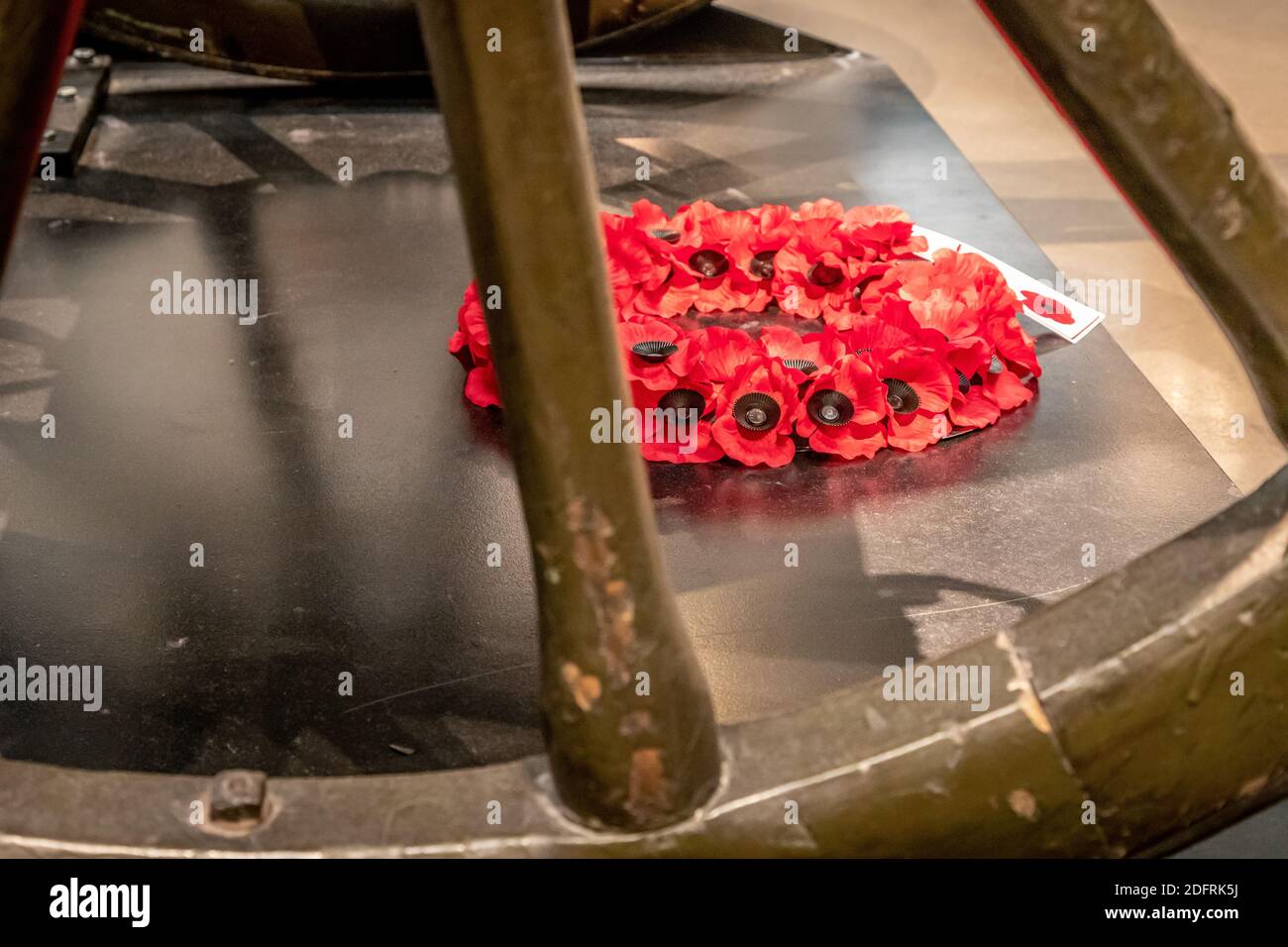 Poppy Wealth, Imperial war Museum, London Stockfoto