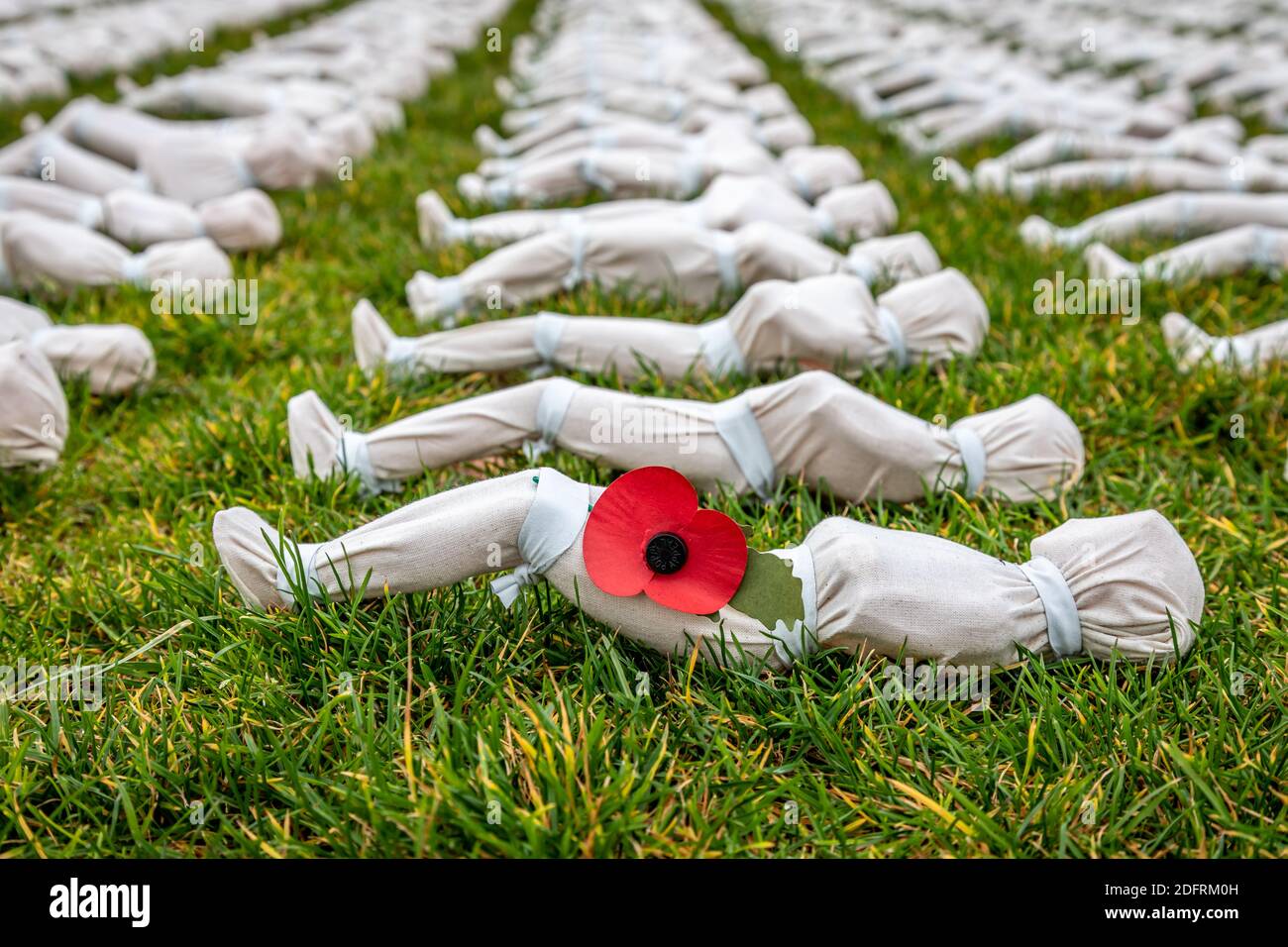 Shrouds of the Somme, Queen Elizabeth Olympic Park, London Stockfoto