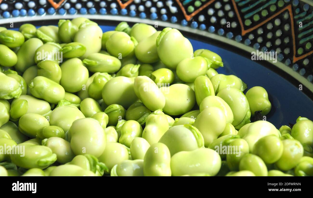 Geerntete Saubohnen oder Fava-Bohnen (Vicia faba) In einer afrikanischen  Schssel Stockfotografie - Alamy