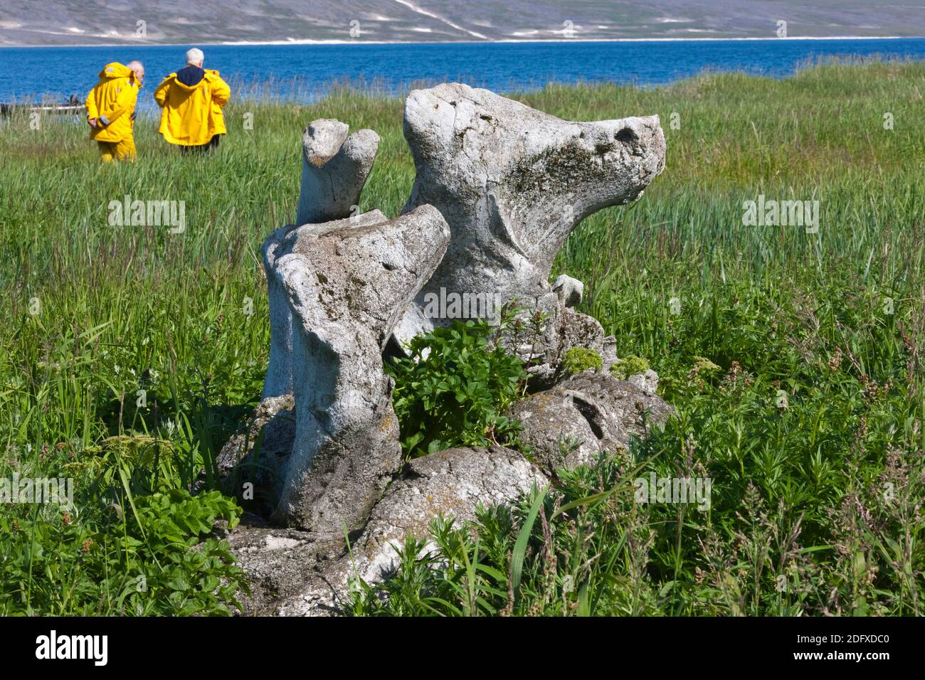 Touristen, die gerade Grönlandwal Kieferknochen, Yttygran Insel, Beringmeer, russischen Fernen Osten Stockfoto