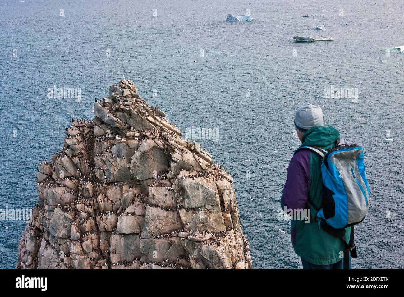 Touristen beobachten Vögel auf der Klippe, Kolyuchin Insel, einst eine wichtige russische Polarforschungsstation, Bering Meer, Russland Fernen Osten Stockfoto