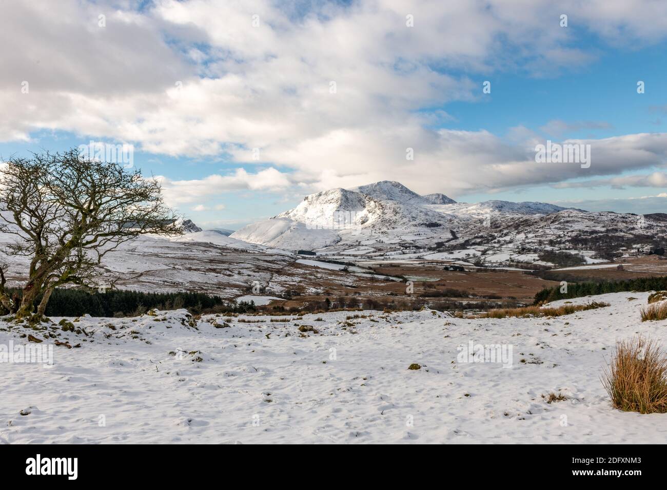 Cadair Idris mit Schnee bedeckt Stockfoto