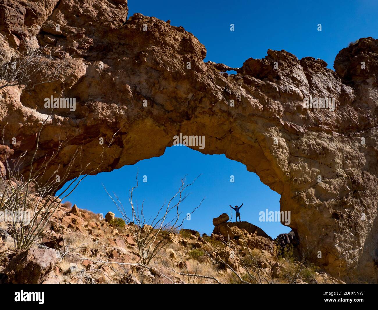 Ein Wanderer genießt den natürlichen Bogen in Arch Canyon, Organ Pipe Cactus National Monument, Arizona, USA Stockfoto