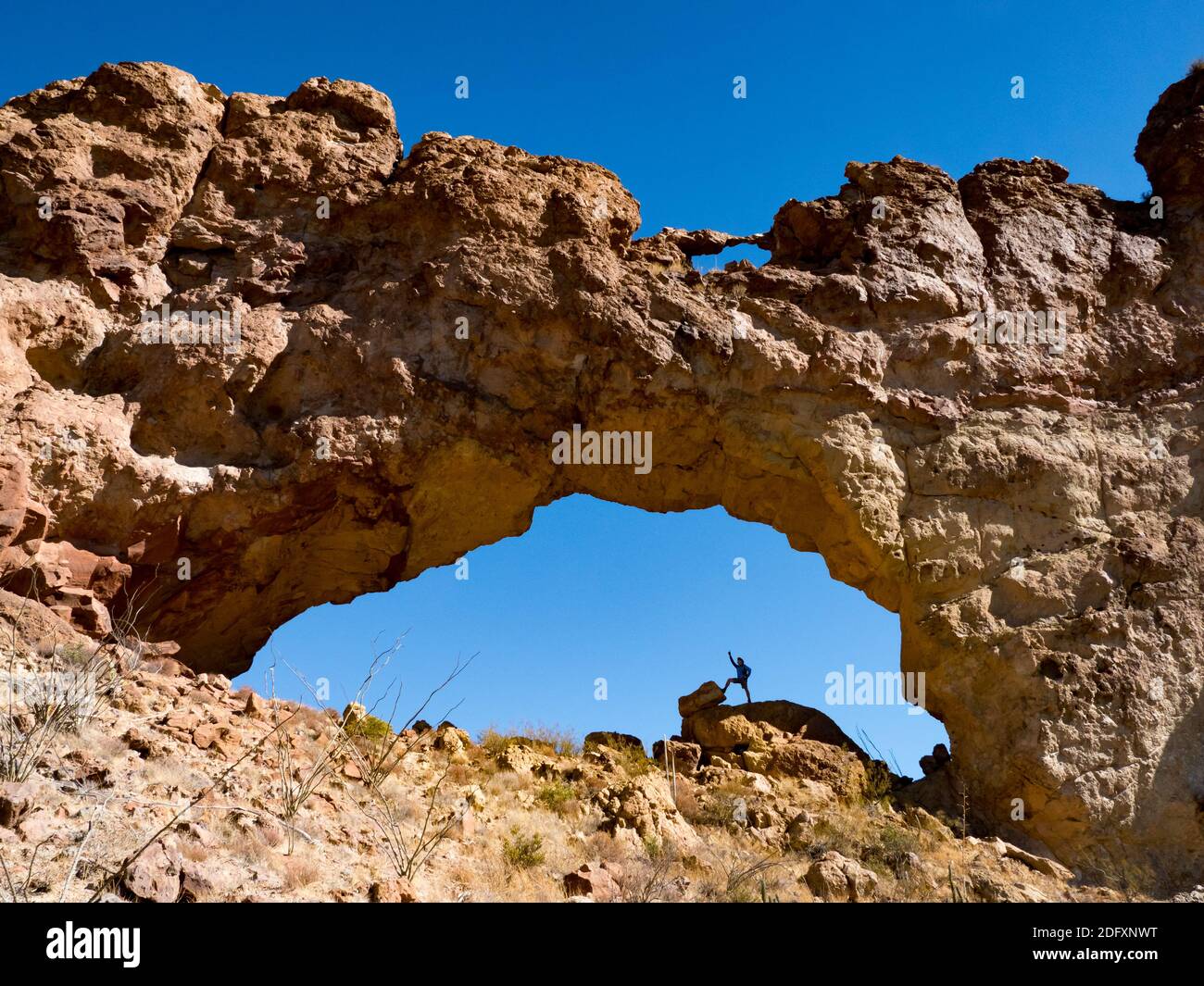 Ein Wanderer genießt den natürlichen Bogen in Arch Canyon, Organ Pipe Cactus National Monument, Arizona, USA Stockfoto