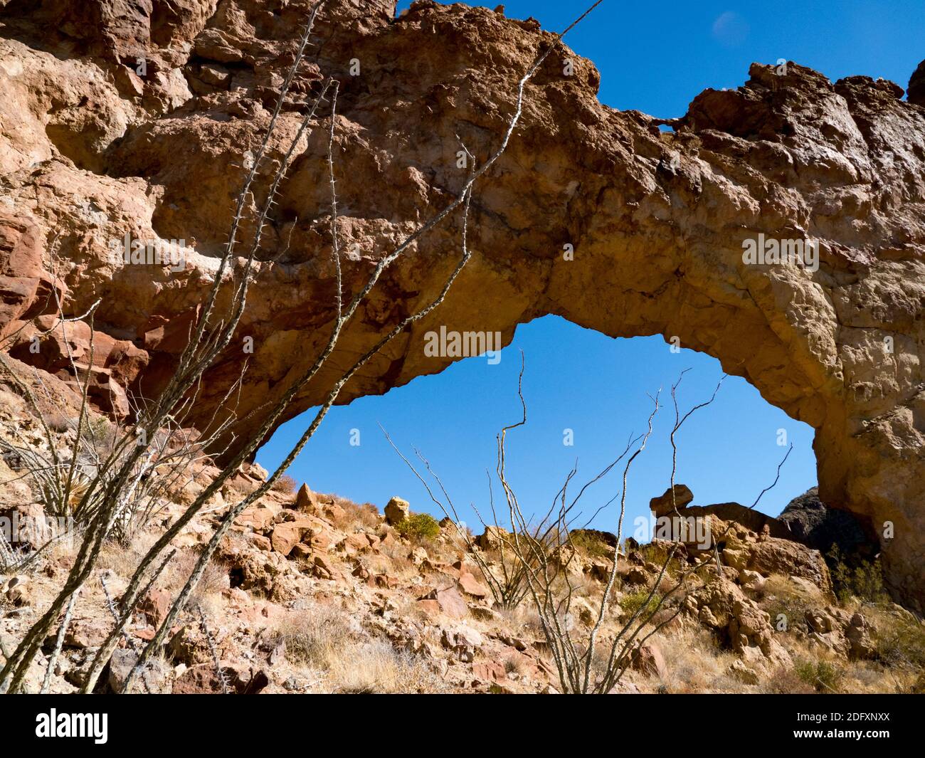 Ein Wanderer genießt den natürlichen Bogen in Arch Canyon, Organ Pipe Cactus National Monument, Arizona, USA Stockfoto
