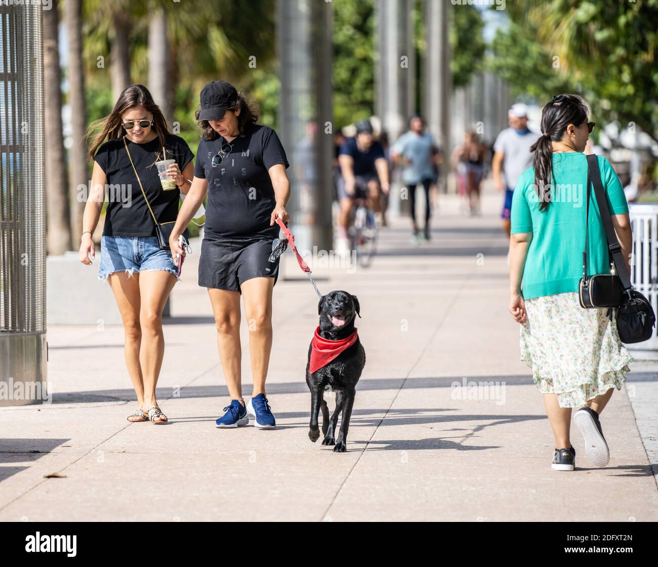Street Photography Menschen zu Fuß einen Hund im Park Miami Strandszene Stockfoto