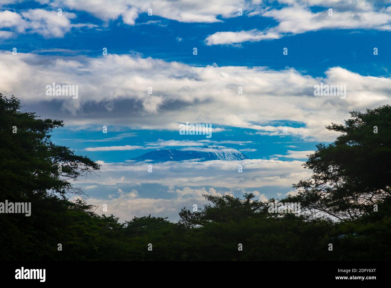 Morgenansicht von der Arumeru River Lodge in USA River Zum Gipfel des Kilimandscharo in den Wolken Stockfoto
