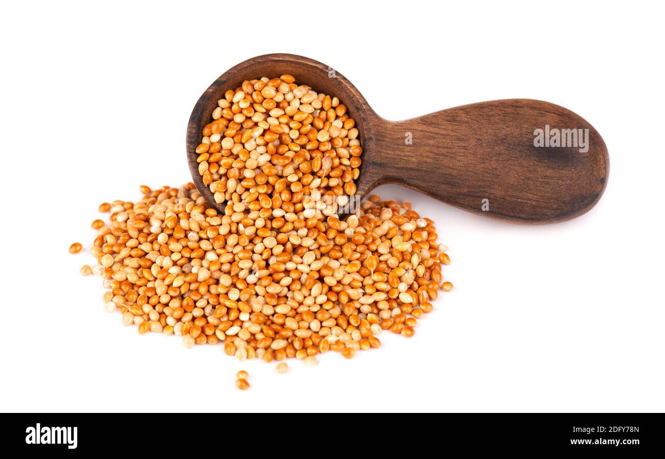 Hirse in Holzlöffel, isoliert auf weißem Hintergrund. Ungeschälte Hirsekerne. Stockfoto