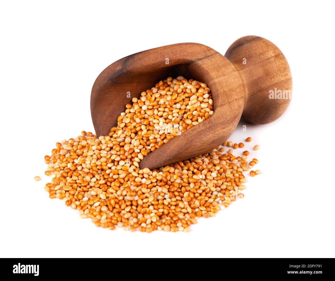 Hirse in Holzlöffel, isoliert auf weißem Hintergrund. Ungeschälte Hirsekerne. Stockfoto