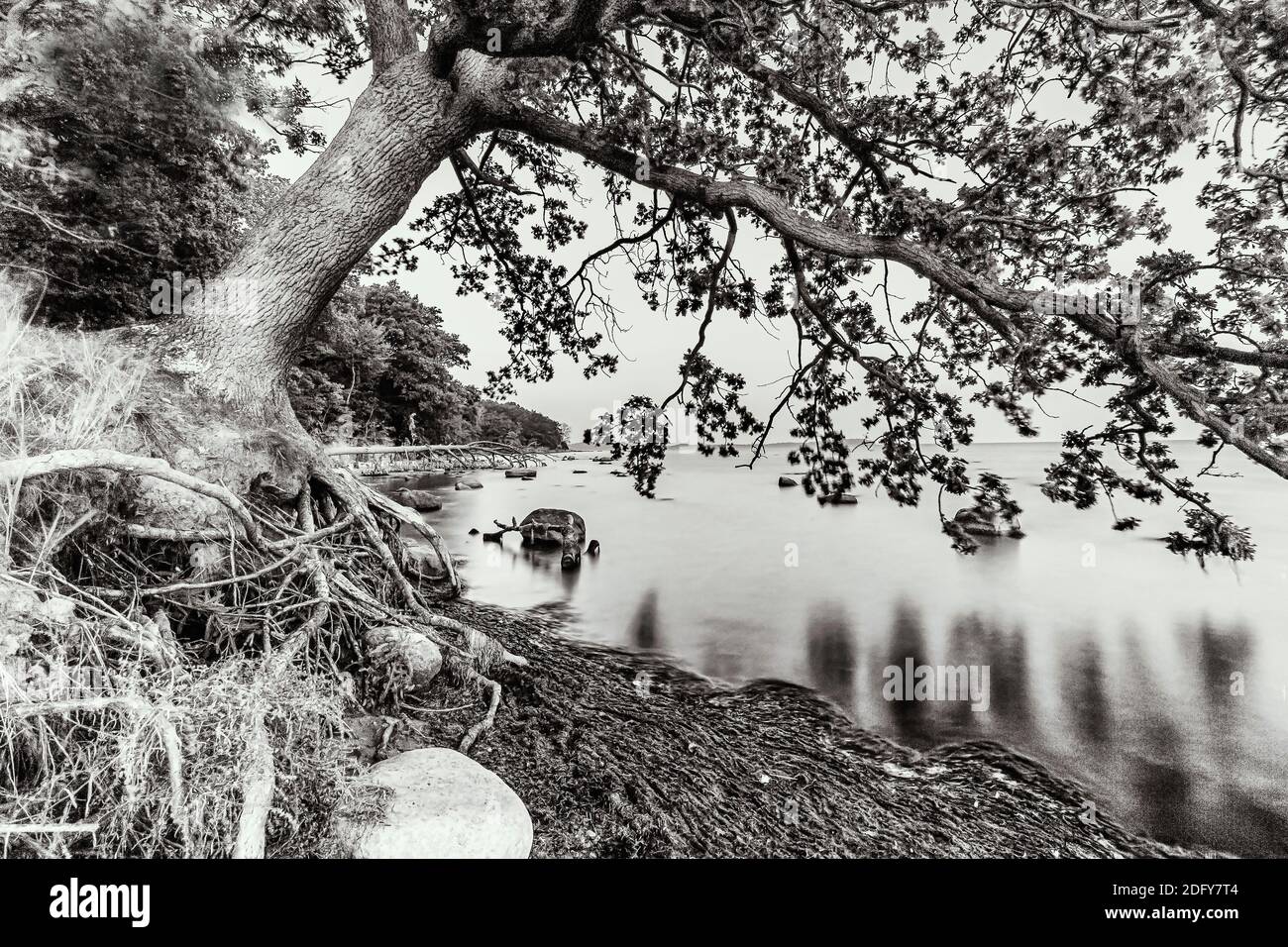 Eine felsige Küstenlandschaft auf der Insel Rügen Stockfoto