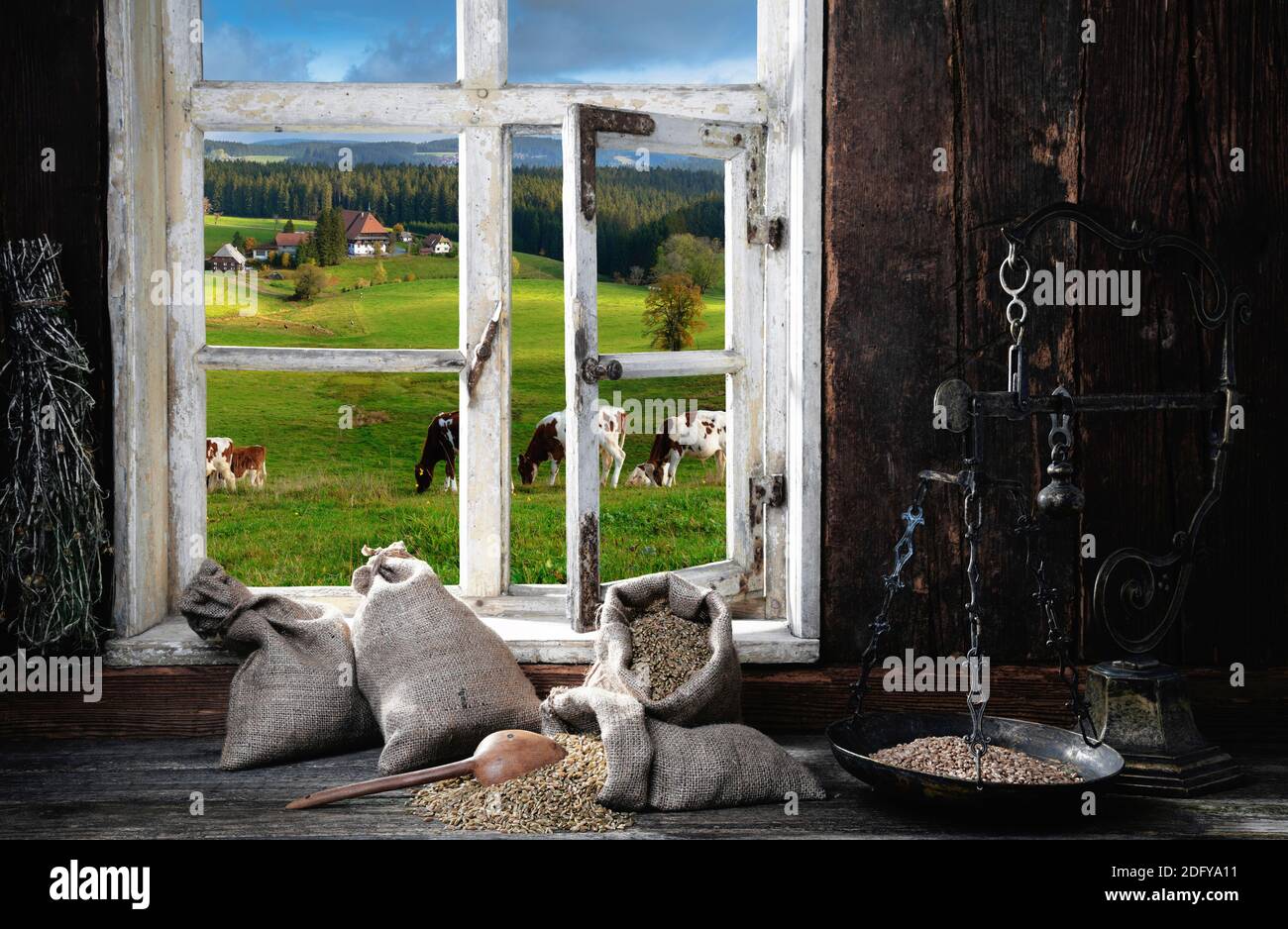Blick durch ein Fenster in der Landschaft Stockfoto