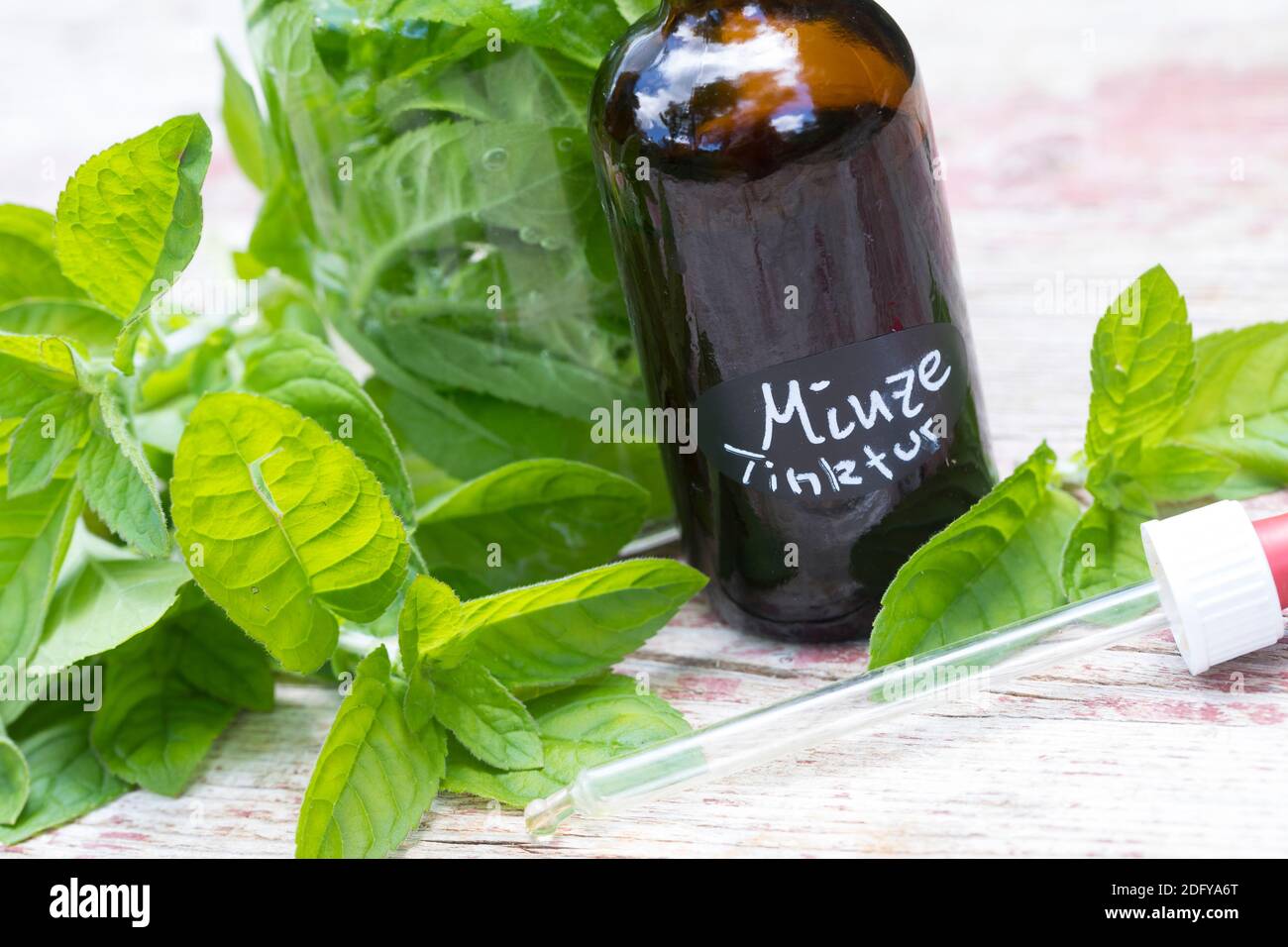 Wasserminze-Tinktur, Wasserminzen-Tinktur, alkoholischer Auszug, Tinktur, Tinkturen, Wasserminze, Wasser-Minze, Minze, Mentha aquatica, Horsemint, Wat Stockfoto