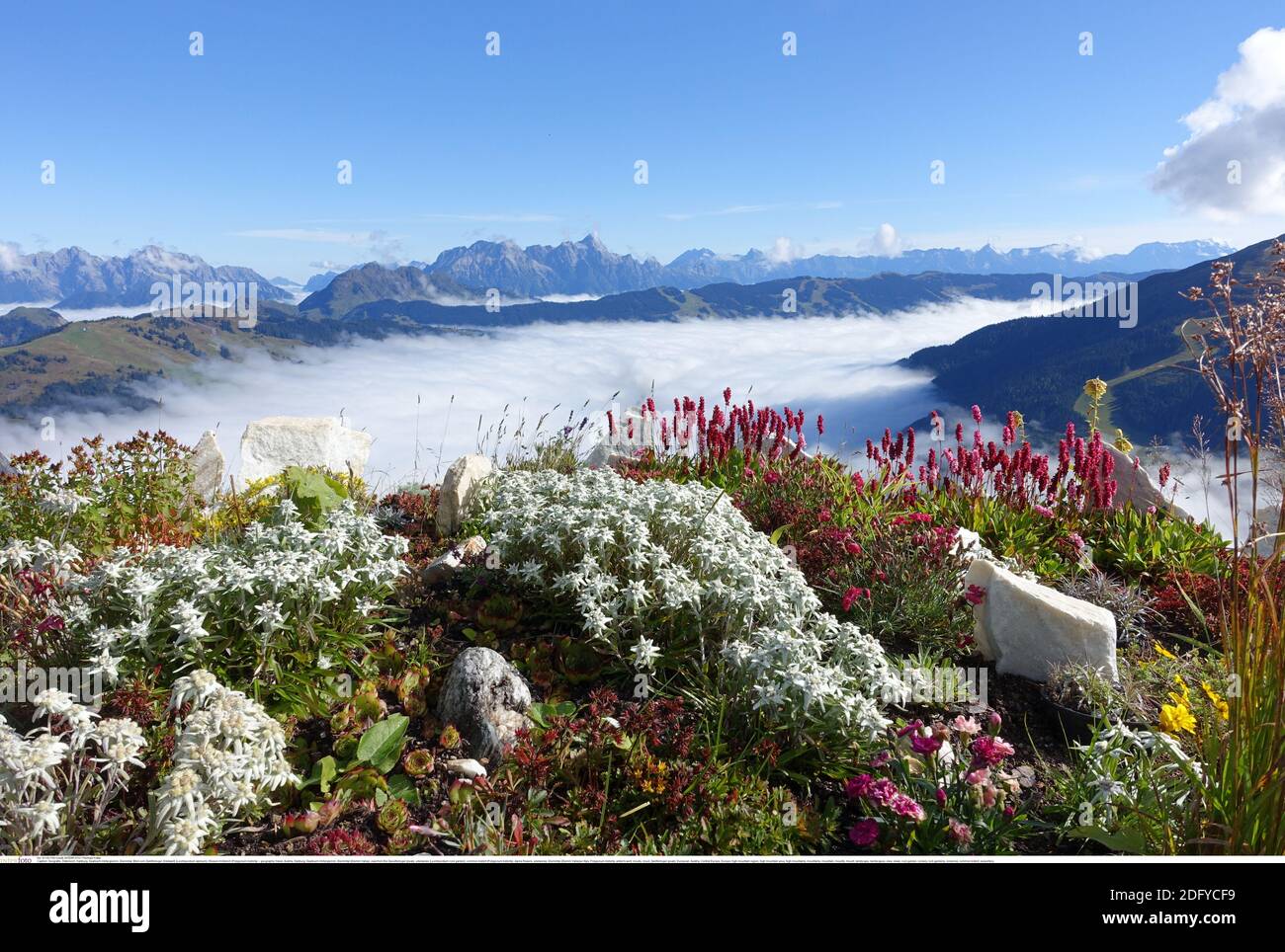 Geographie / Reisen, Österreich, Salzburg, Saalb, Achtung! Für Die Nutzung Der Postkarte Im Deutschsprachigen Raum Können Bestimmte Einschränkungen Gelten Stockfoto