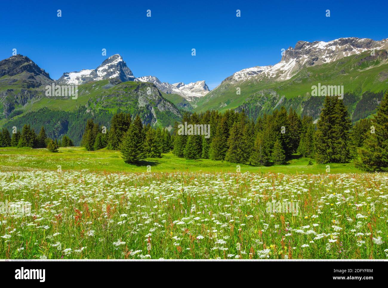 Geographie / Reisen, Schweiz, Incubus Flix, Additional-Rights-Clearance-Info-not-available Stockfoto