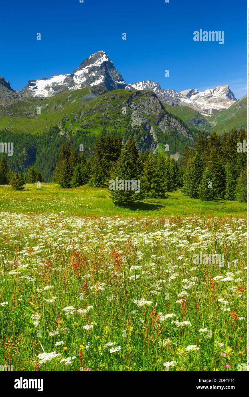 Geographie / Reisen, Schweiz, Incubus Flix, Additional-Rights-Clearance-Info-not-available Stockfoto