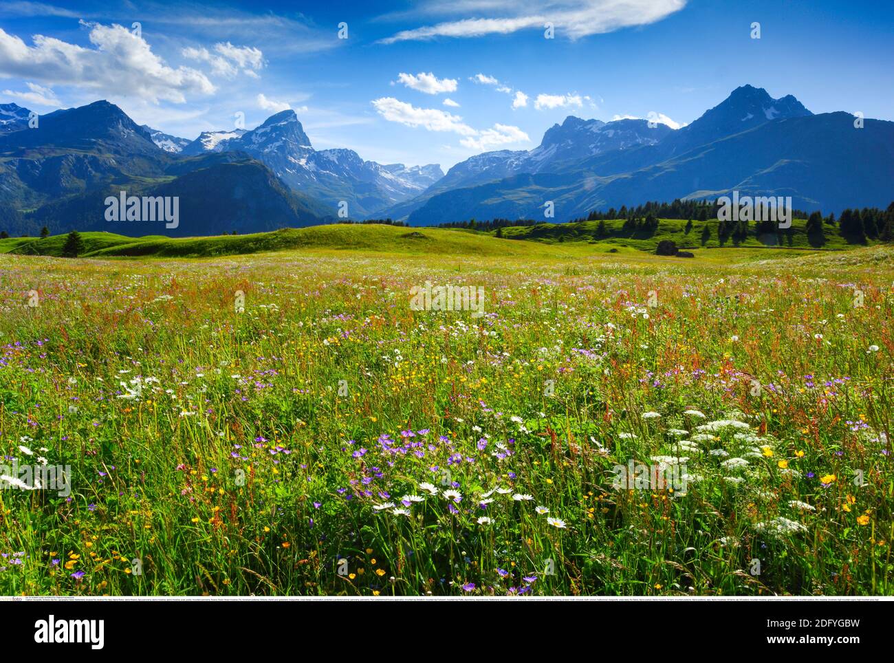 Geographie / Reisen, Schweiz, Incubus Flix, Additional-Rights-Clearance-Info-not-available Stockfoto