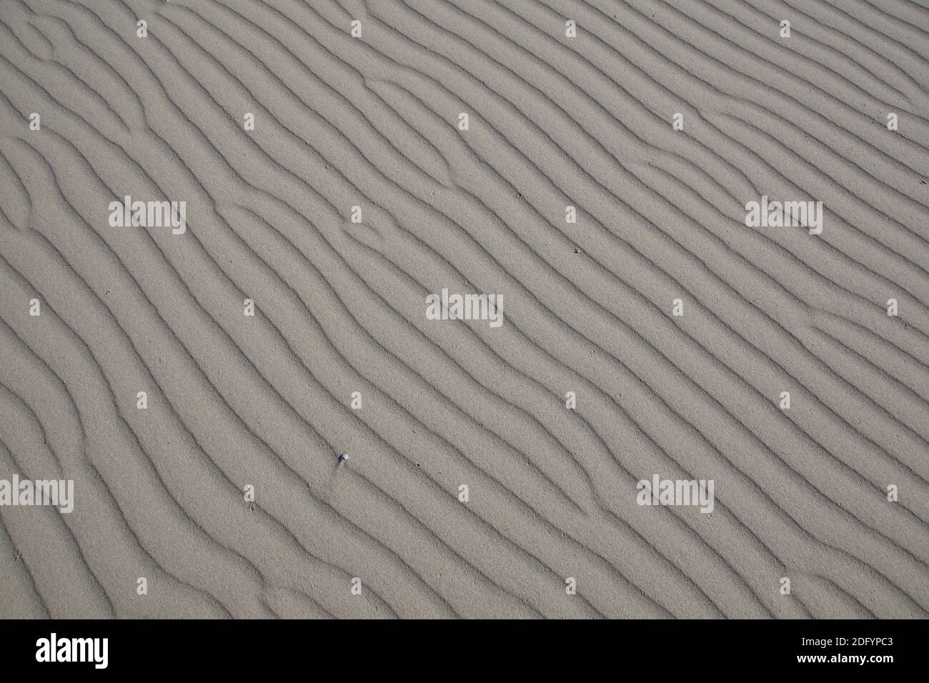 Texturierter Sand am Strand von Texel, Niederlande. Stockfoto