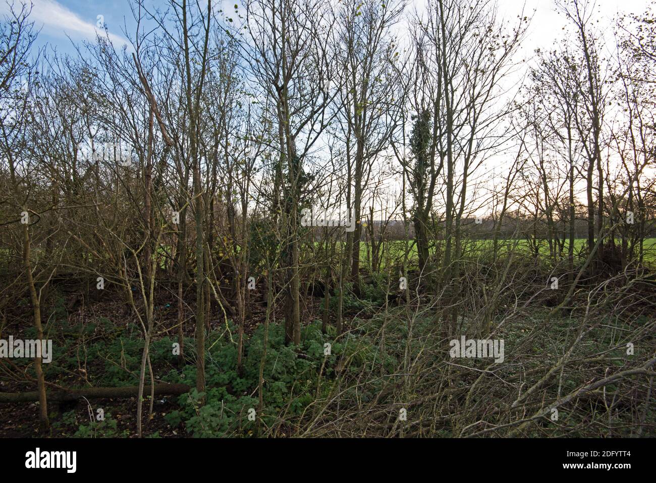 M25 Colne Valley Motorway Service Area Proposed site, Iver Heath, Bucks - Planungsanwendung PL/20/4332/OA Stockfoto