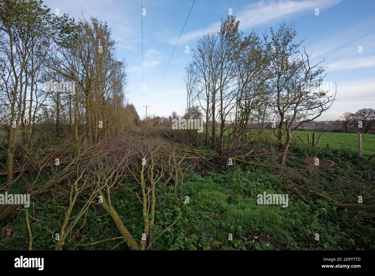 M25 Colne Valley Motorway Service Area Proposed site, Iver Heath, Bucks - Planungsanwendung PL/20/4332/OA Stockfoto