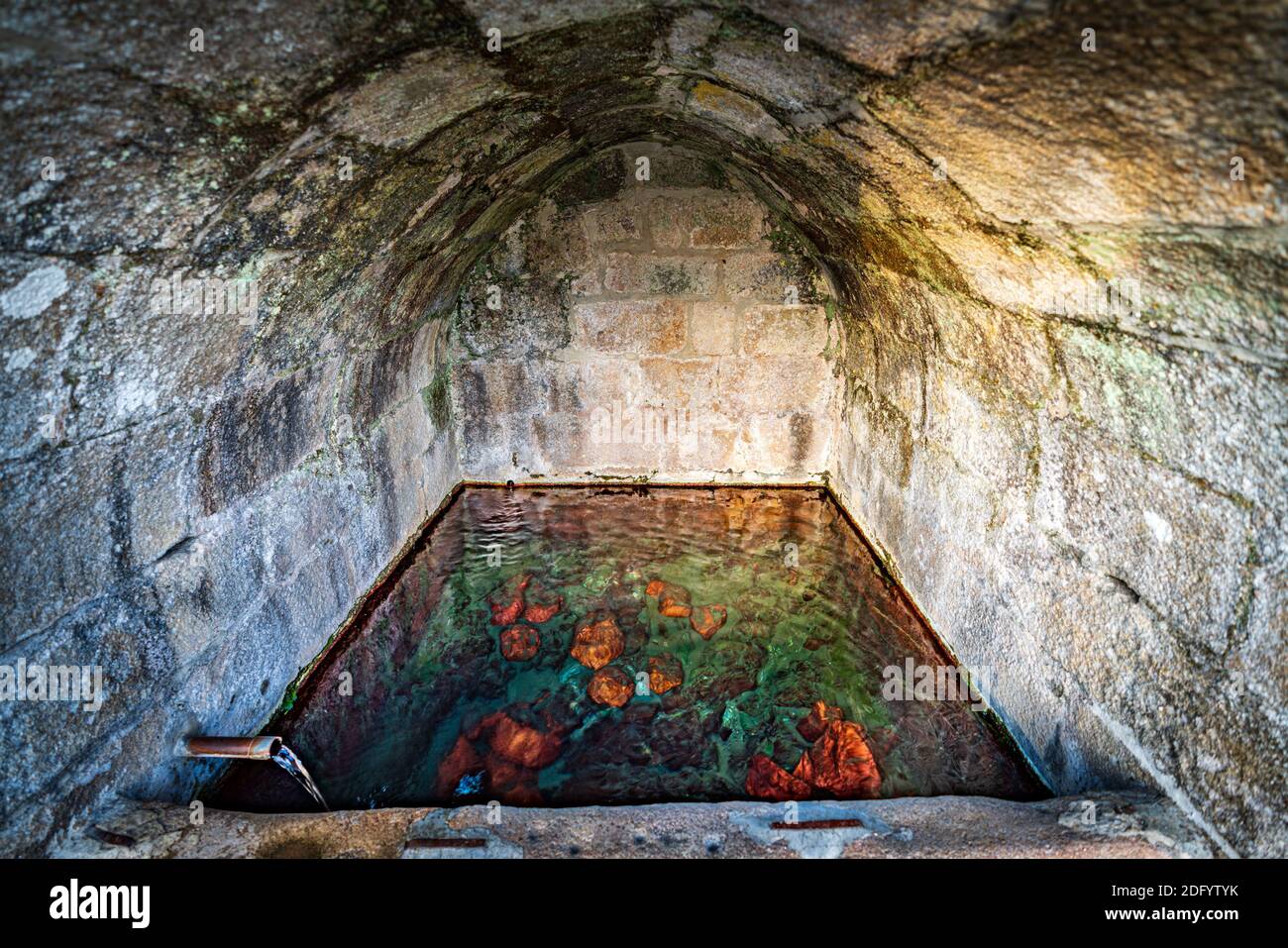 Frühling und Teich mit Stein gebaut Struktur um Stockfoto