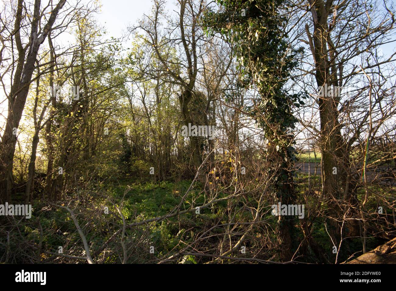 M25 Colne Valley Motorway Service Area Proposed site, Iver Heath, Bucks - Planungsanwendung PL/20/4332/OA Stockfoto