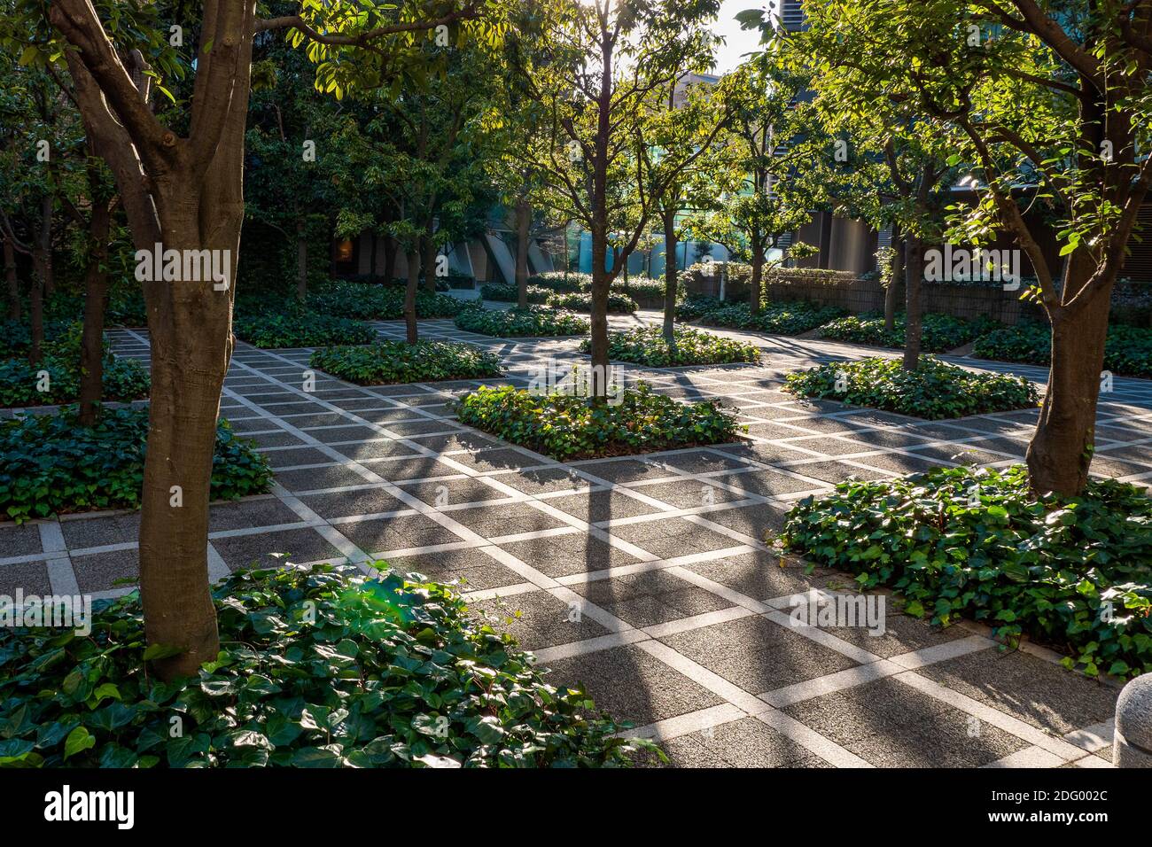 Ein städtisches Layout von Bäumen in Iidabashi, Tokio, Japan Stockfoto