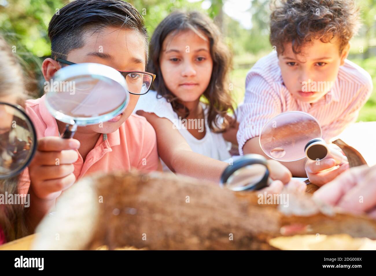 Kinder schauen interessiert an Baumrinde durch eine Lupe Im Naturschutz-Ferienkurs Stockfoto