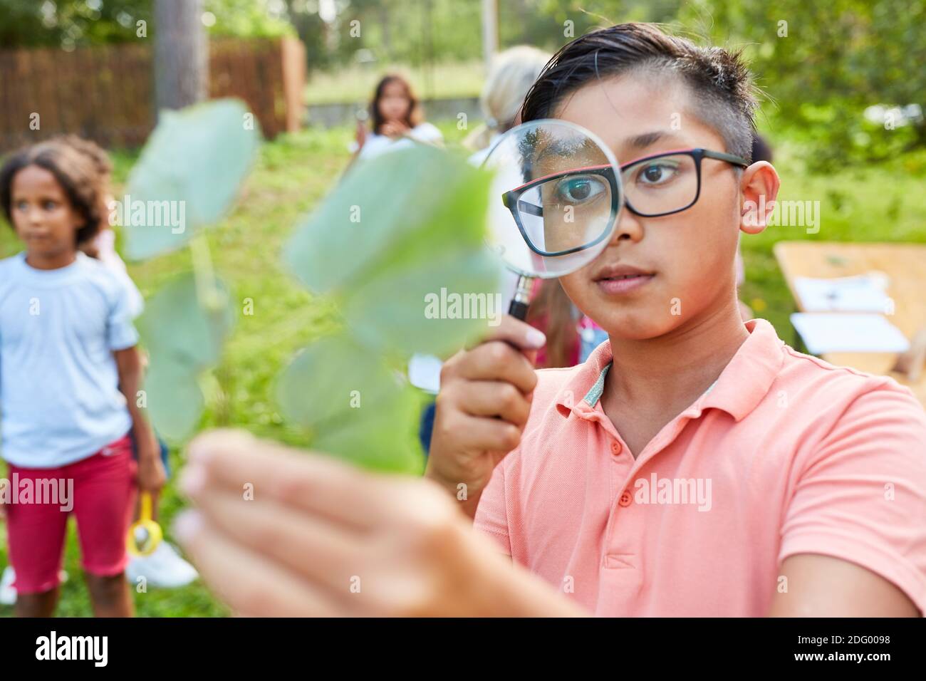Kind als neugieriger Forscher im ökologischen Ferienlager Schaut durch eine Lupe auf ein Blatt Stockfoto
