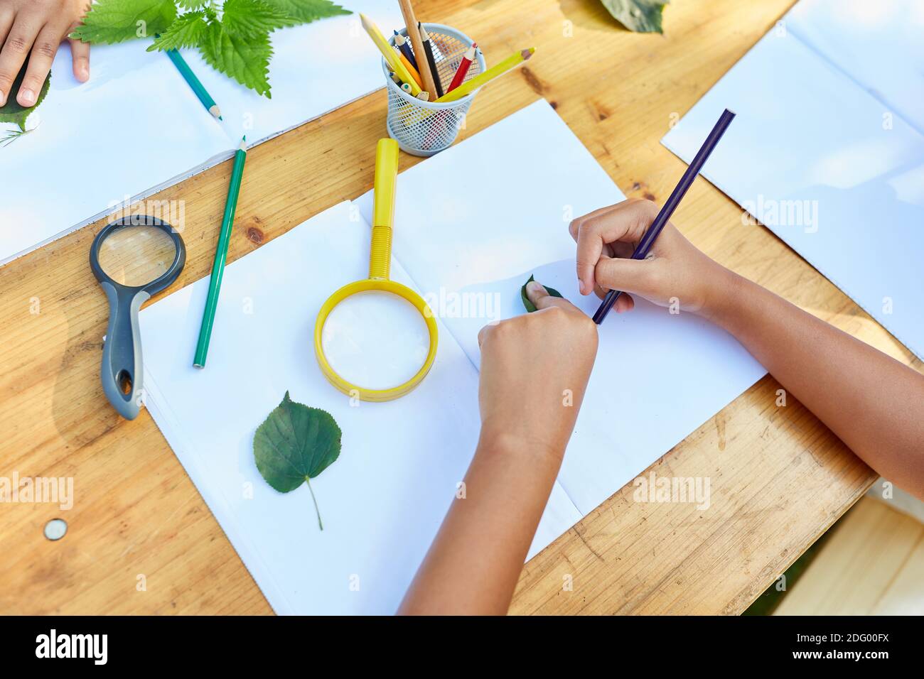 Kinder im kreativen Ferienkurs zeichnen und basteln mit Blätter im Sommerlager Stockfoto