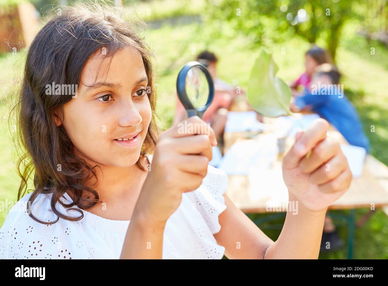 Mädchen im ökologischen Ferienlager schaut neugierig auf Blatt Durch eine Lupe Stockfoto