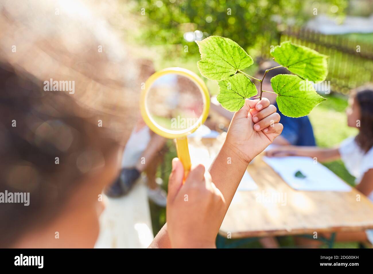 Kinder betrachten die Blätter durch eine Lupe im Naturschutzprojekt in der Sommerschule Stockfoto
