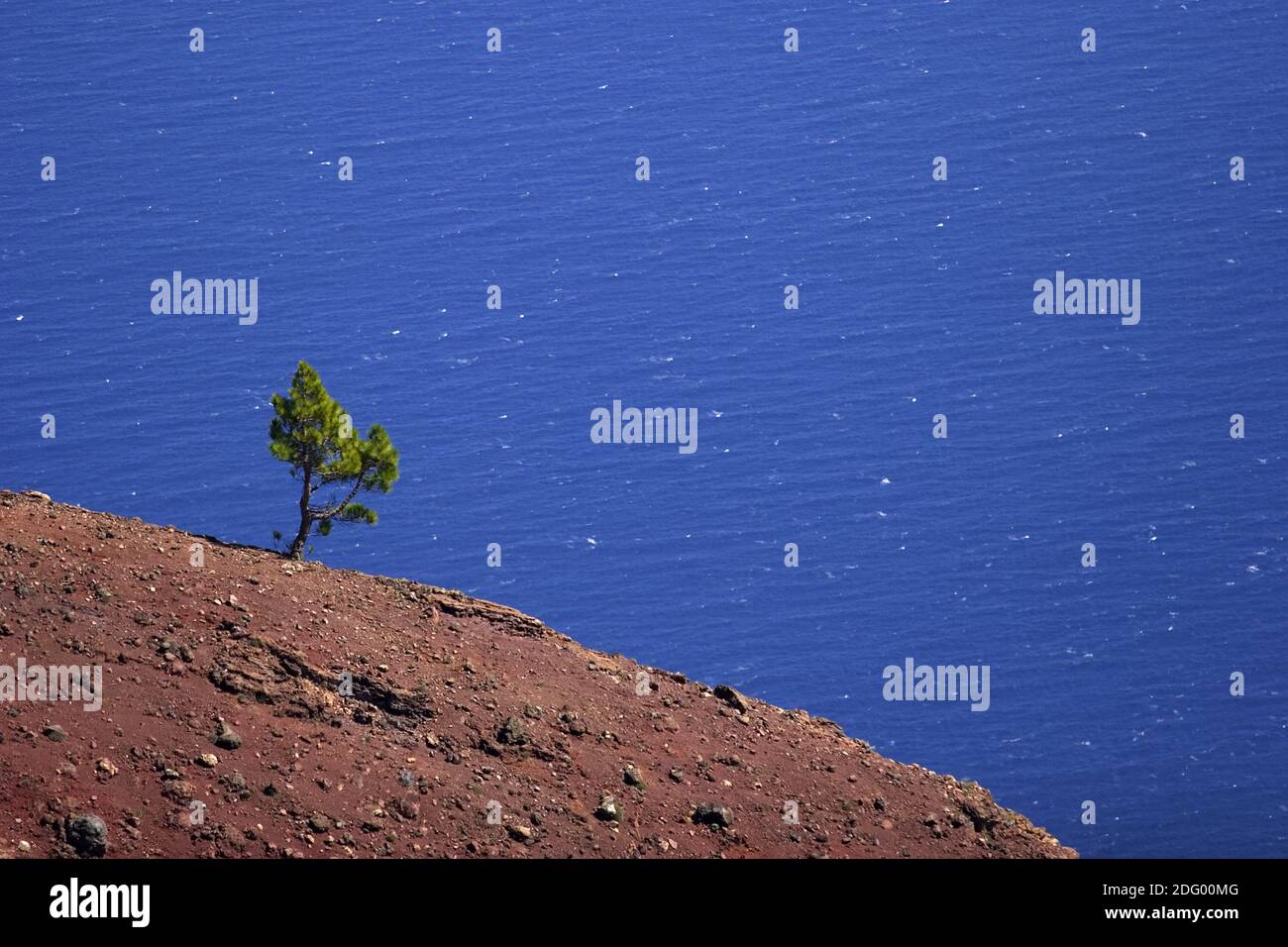 Insel La Palma, Kanaren Stockfoto