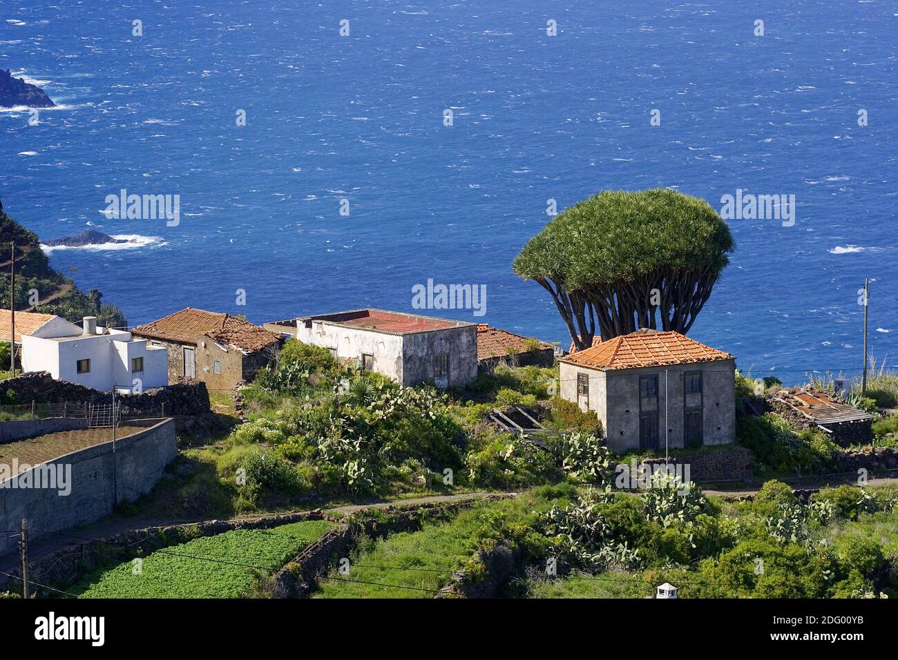 Insel La Palma, Kanaren Stockfoto