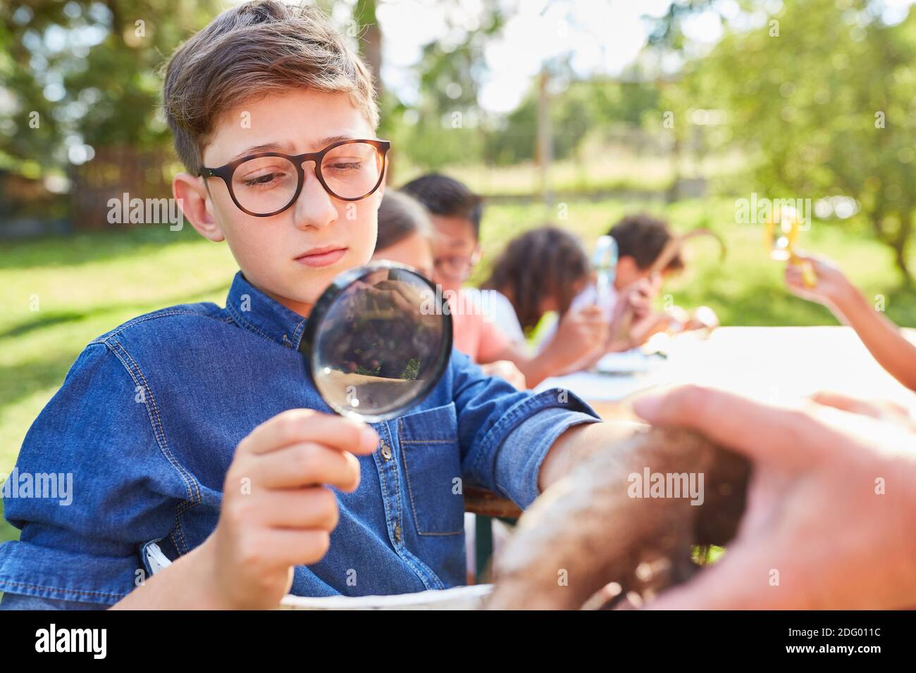 Junge schaut durch eine Lupe auf Baumrinde hinein Sommerkurs Biologie und Umweltschutz Stockfoto