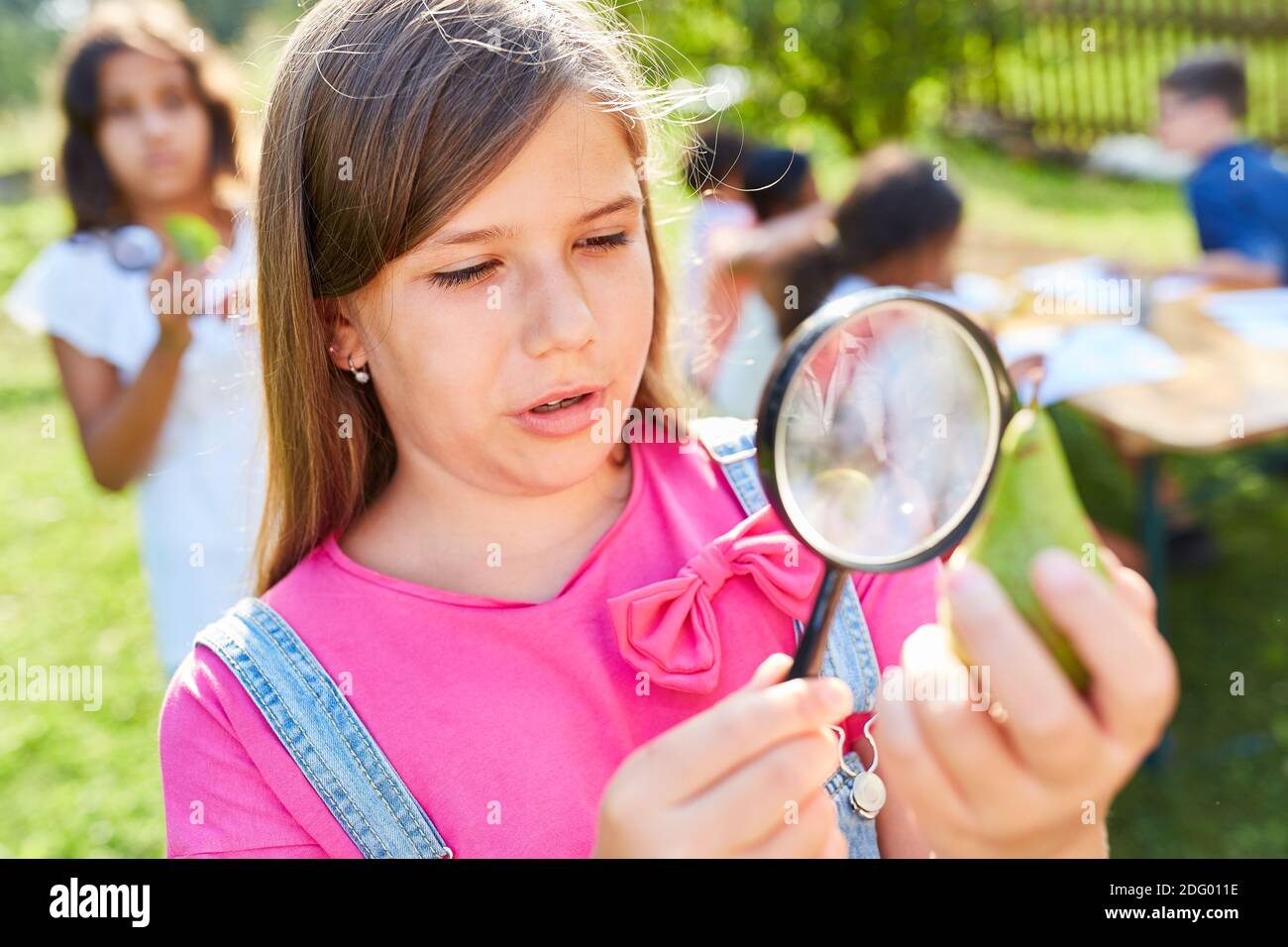 Mädchen neugierig schaut auf eine Birne unter der Lupe Im ökologischen Ferienlager Stockfoto